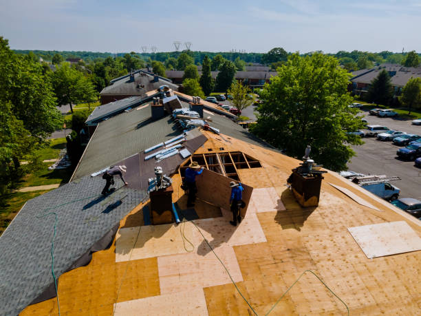 Best Storm Damage Roof Repair  in Barclay, NJ